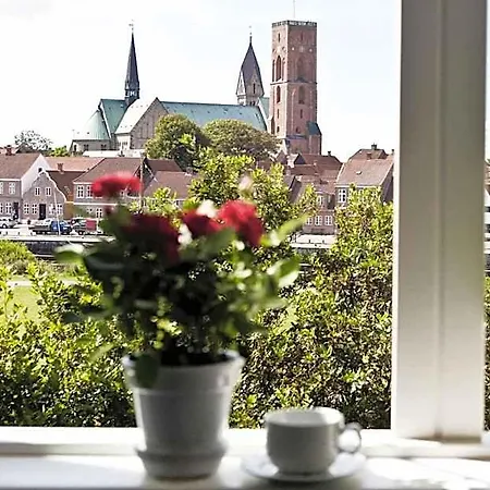 Danhostel Ribe *